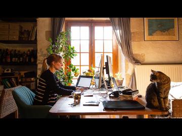 Do you want to work from home?
